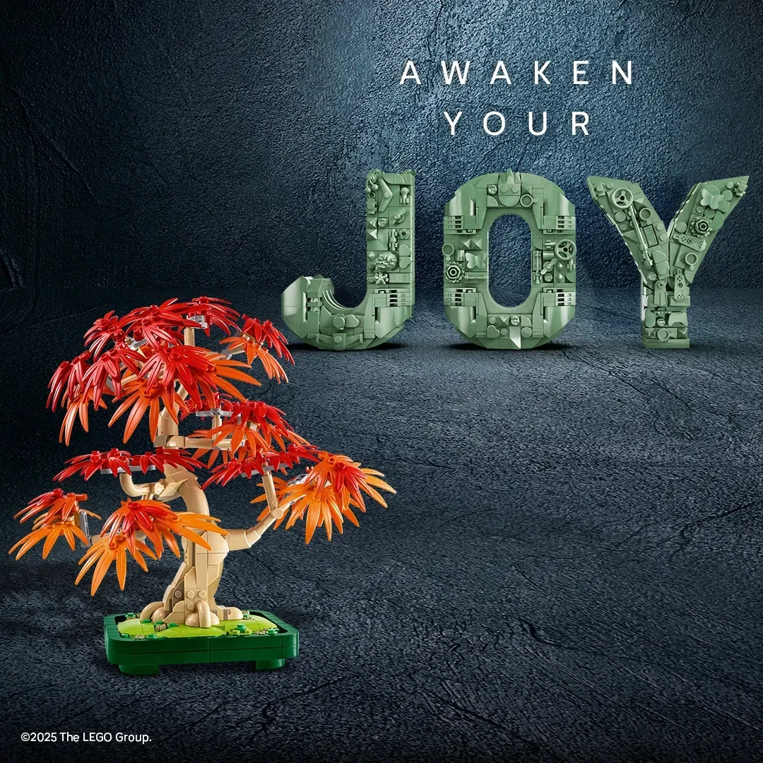 Awaken Your Joy image 3