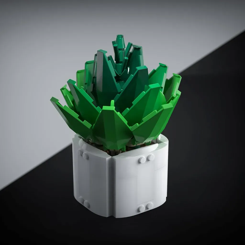 Miniature Desktop Fern